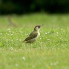 ABD0016-20131018.jpg