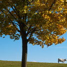 ABD0001-20131018.jpg