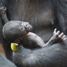 ABD0088-20131015.jpg