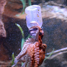 ABD0072-20131015.jpg