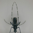 ABD0045-20131015.jpg
