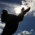 ABD0022-20131014.jpg