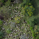 ABD0115-20131013.jpg