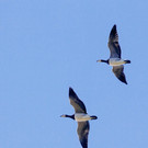 ABD0016-20131012.jpg