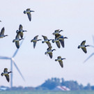 ABD0014-20131012.jpg