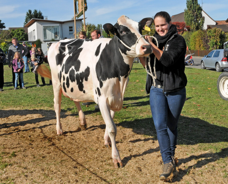 Viehfest H__chst 18-10-2013 128_jpg-1382115169