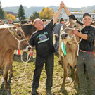 a Viehfest H__chst 18-10-2013 191_jpg-1382115712