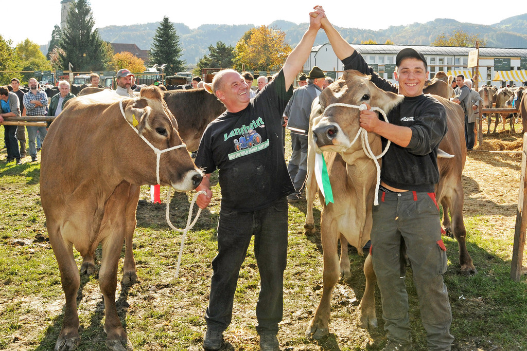 a Viehfest H__chst 18-10-2013 191_jpg-1382115712