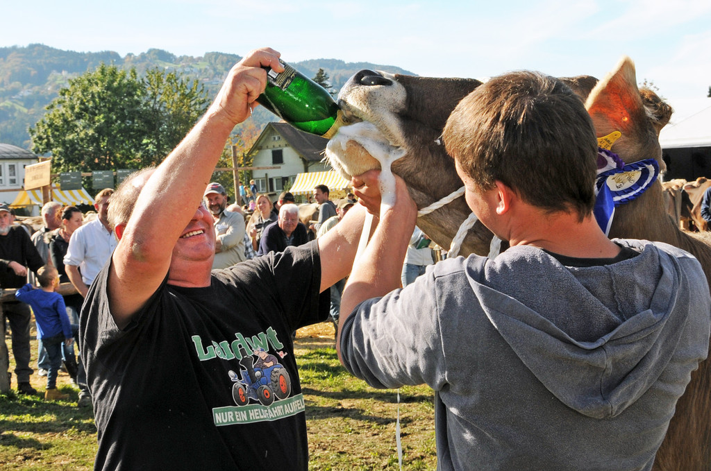 Viehfest H__chst 18-10-2013 181_jpg-1382115695