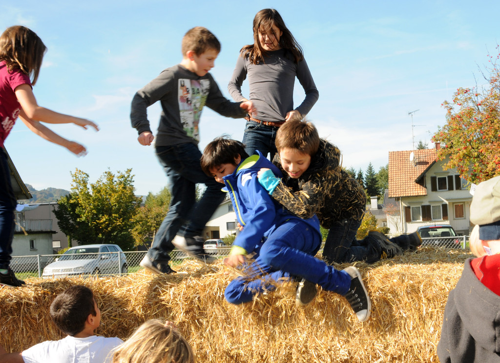 Viehfest H__chst 18-10-2013 86_jpg-1382115968