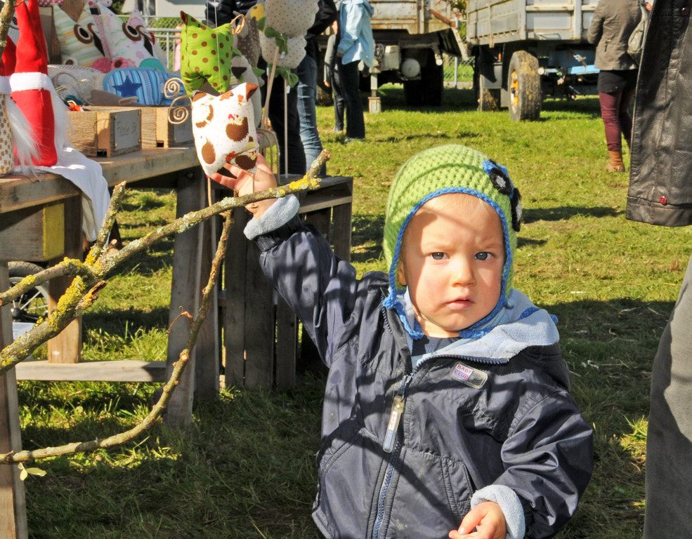 Viehfest H__chst 18-10-2013 95_jpg-1382115976