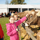 Viehfest H__chst 18-10-2013 109_jpg-1382115985