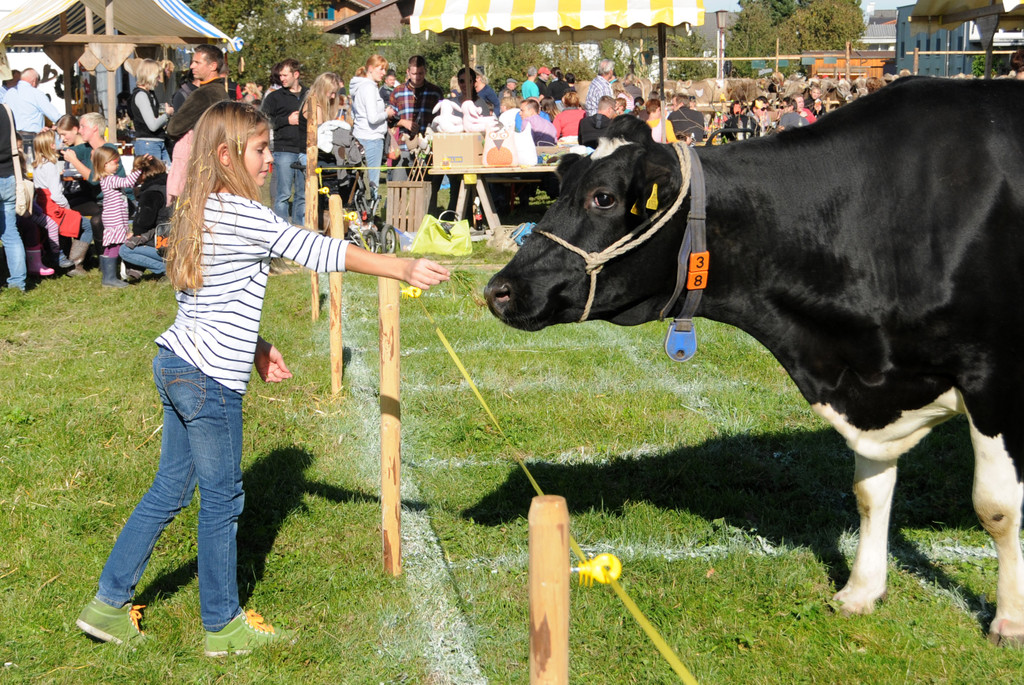 Viehfest H__chst 18-10-2013 226_jpg-1382116089