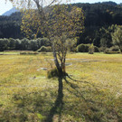 IMG_0086.JPG