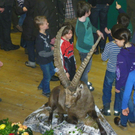 100_7177_jpg-1269196752