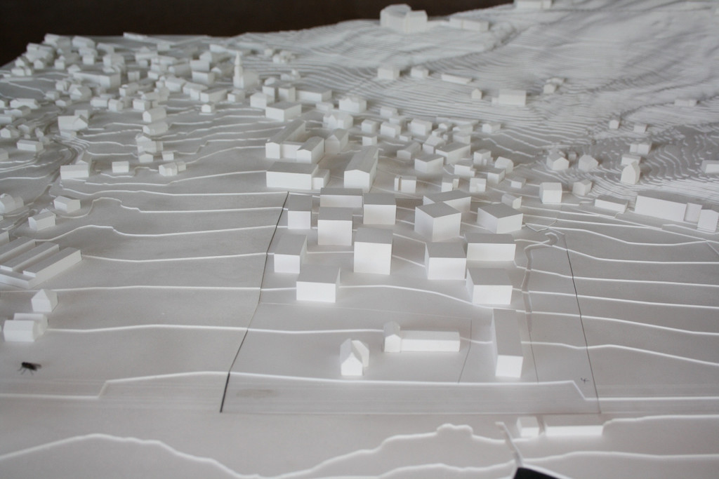 Seedomaine Lochau AUSSTELLUNG 2013 _18__jpg-1382183172