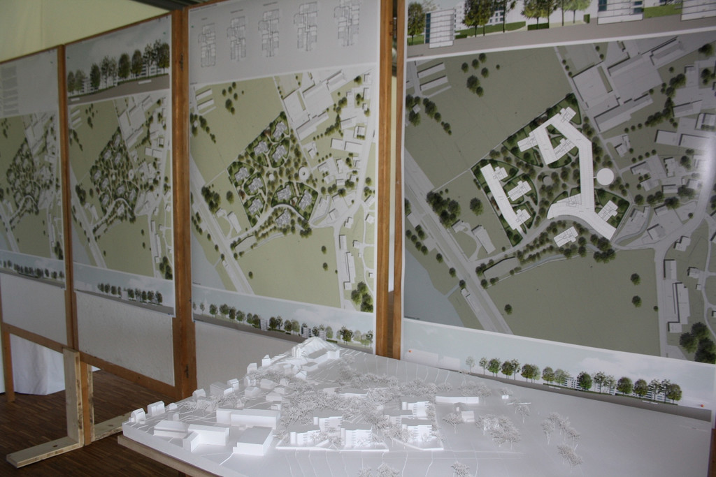 Seedomaine Lochau AUSSTELLUNG 2013 _14__jpg-1382183154