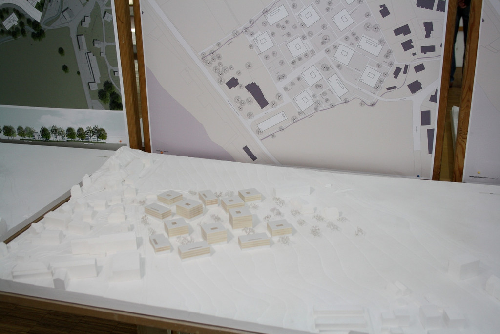 Seedomaine Lochau AUSSTELLUNG 2013 _38__jpg-1382183268