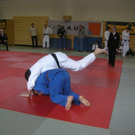 DSCN1548_jpg-1269208428