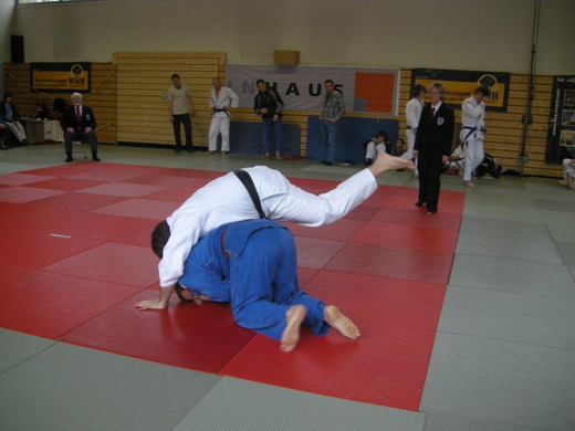 DSCN1548_jpg-1269208428