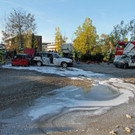 IMG_8434.jpg