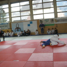DSCN1551_jpg-1269208434