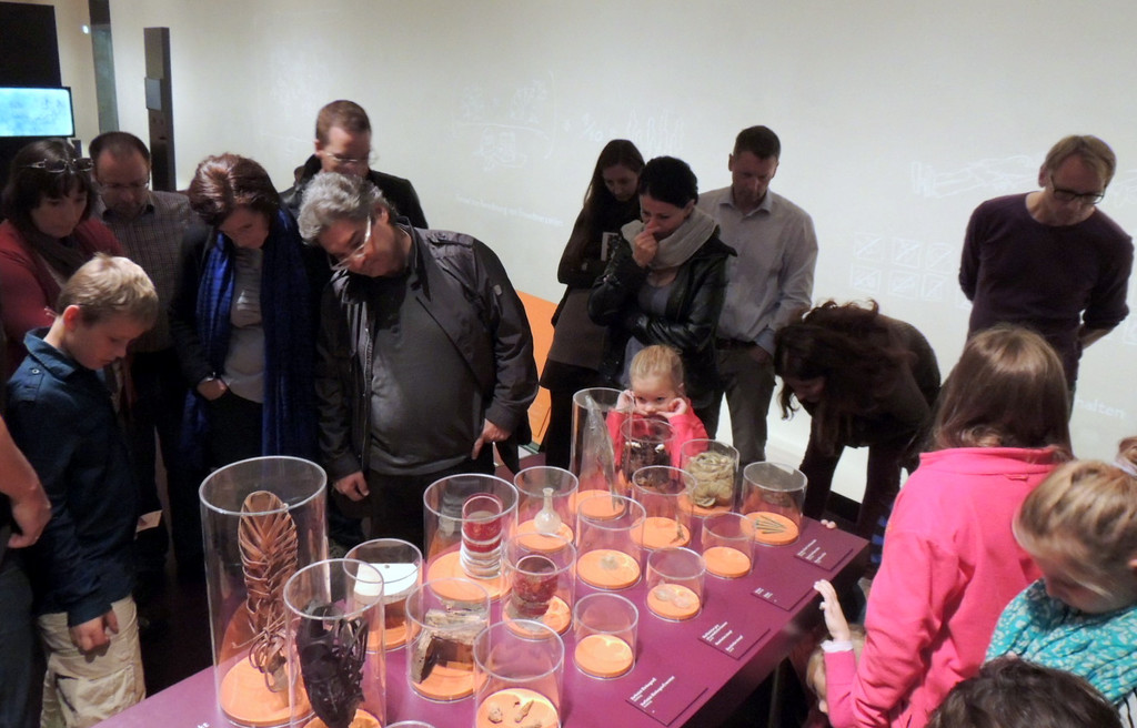 DSCN8160_JPG-1382213900