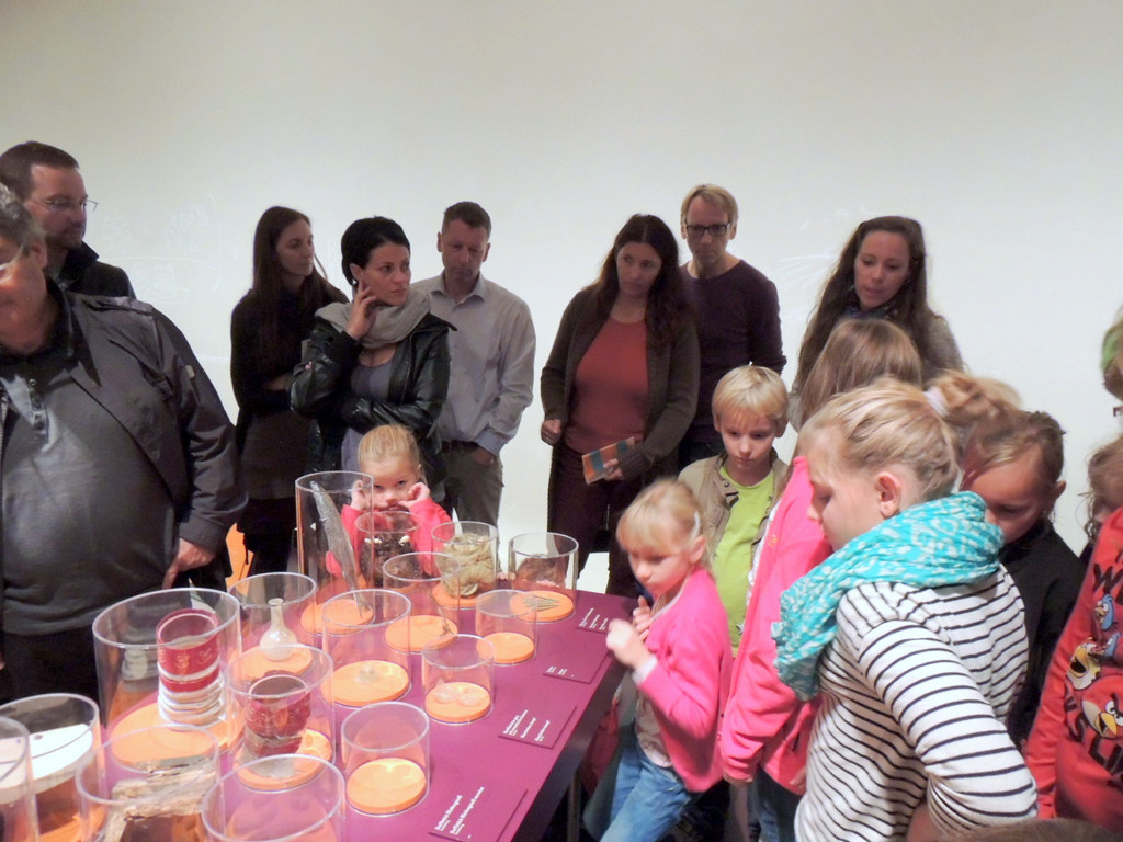 DSCN8162_JPG-1382213907