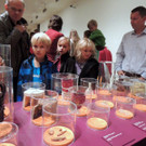 DSCN8166_JPG-1382213915