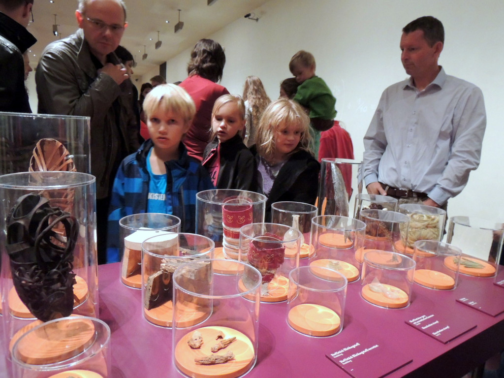 DSCN8166_JPG-1382213915