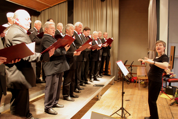 Gemeinschaftskonzert Lochau 2010 _12__jpg-1269208343