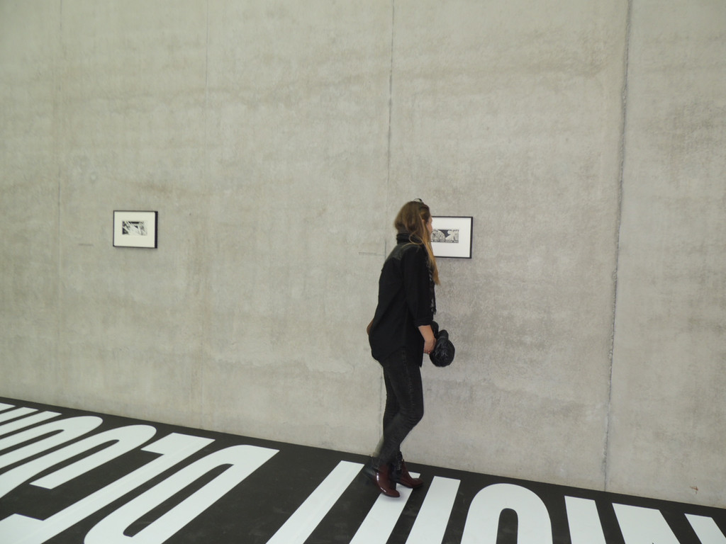 DSCN9681_JPG-1382226127