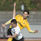 file6cc9ruyxjigvlet08zn_jpg-1382255716