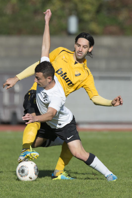 file6cc9ruyxjigvlet08zn_jpg-1382255716