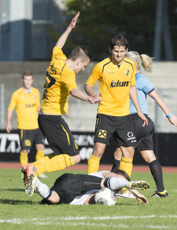 file6cc9sc0q11dqpvms8zn_jpg-1382255743