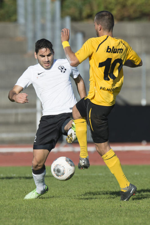 file6cc9schdmnau90t8zm_jpg-1382255762