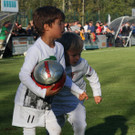 IMG_8281_jpg-1382257032