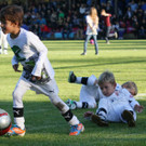 IMG_8301_jpg-1382257049