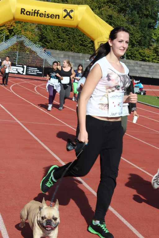 IMG_9203_JPG-1382258031