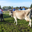 DSC_0123_JPG-1382264102