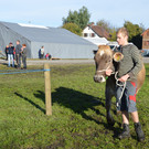 DSC_0124_JPG-1382264226