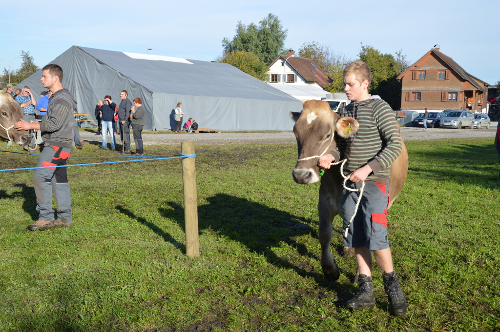 DSC_0124_JPG-1382264226