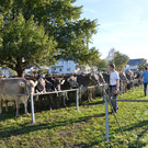 DSC_0115_JPG-1382264813