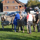 DSC_0122_JPG-1382265183