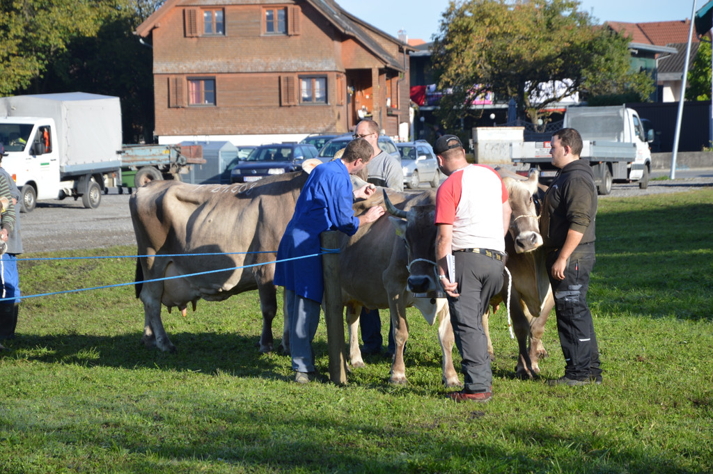 DSC_0122_JPG-1382265183