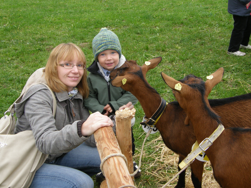 PA260030_JPG-1382273397