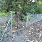 DSCN8527_JPG-1382297229