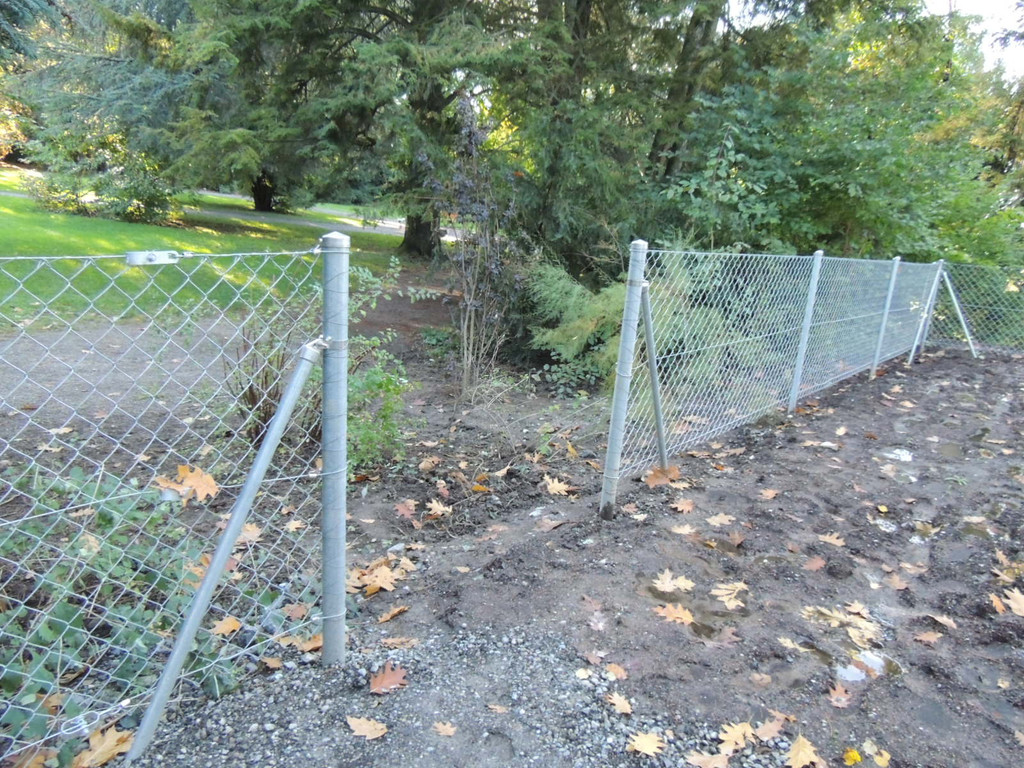 DSCN8527_JPG-1382297229