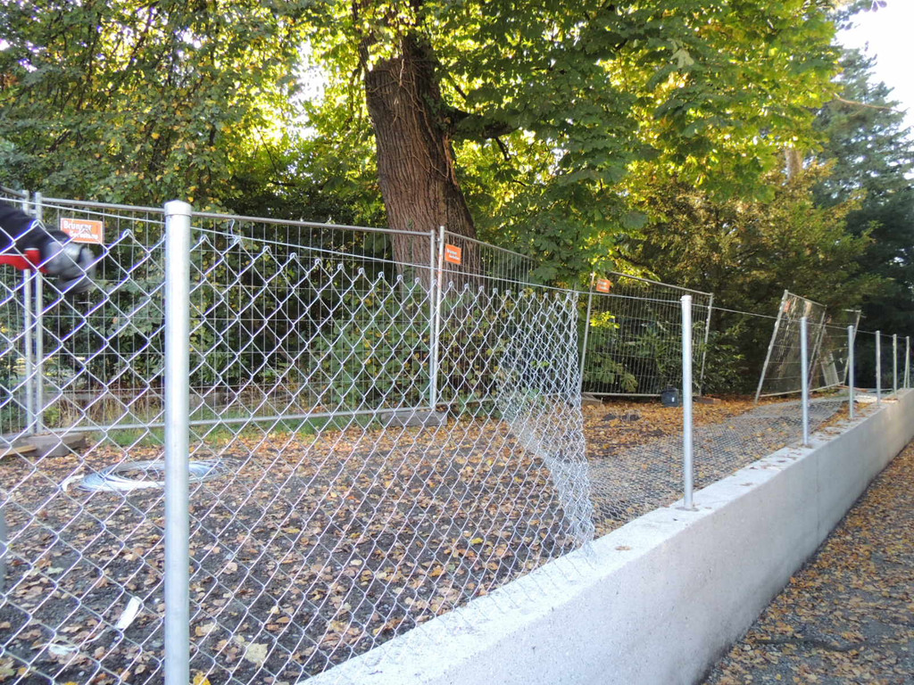 DSCN8523_JPG-1382297217