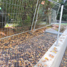 DSCN8530_JPG-1382297241